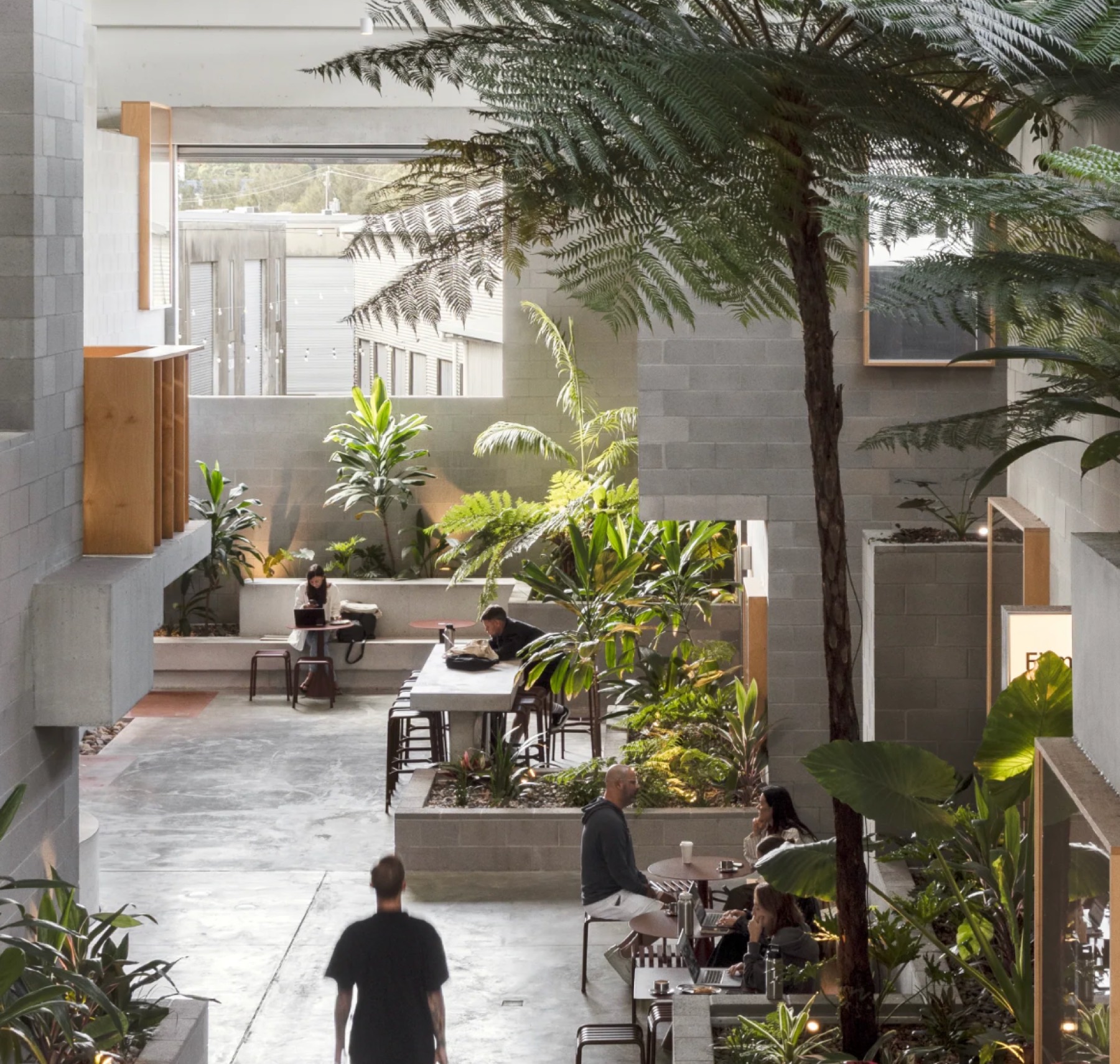 The Warehouses atrium, a tall crop with tree fern foliage and people working among concrete block and steel